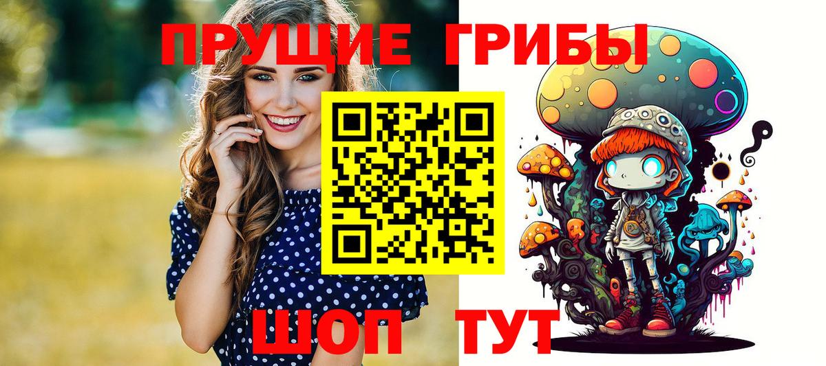 Псилоцибиновые грибы мицелий Барабинск